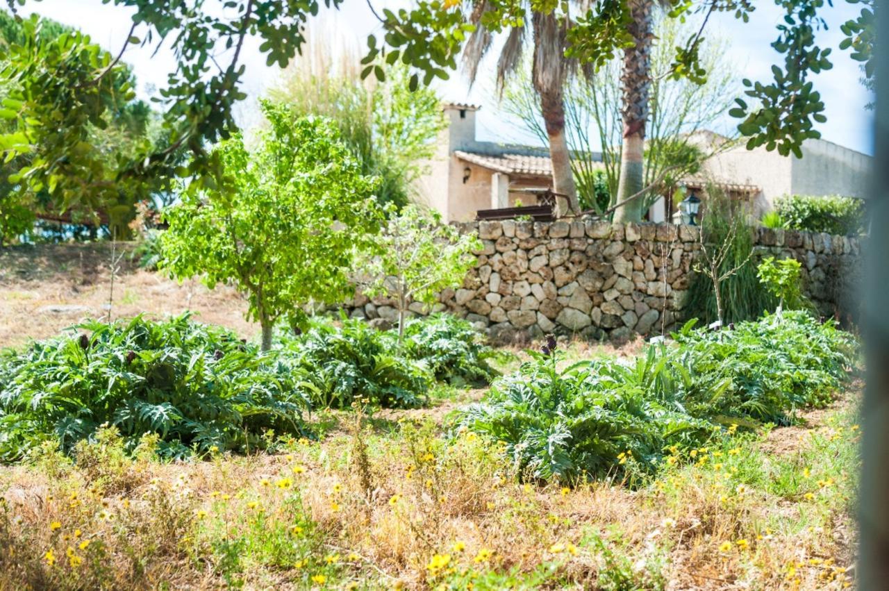 סנטה מרגלידה Villa מראה חיצוני תמונה