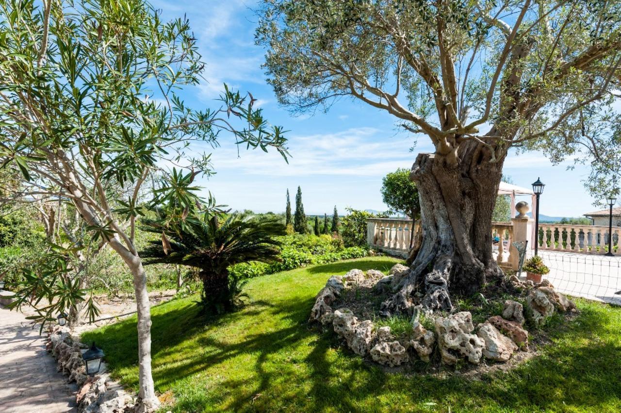 סנטה מרגלידה Villa מראה חיצוני תמונה